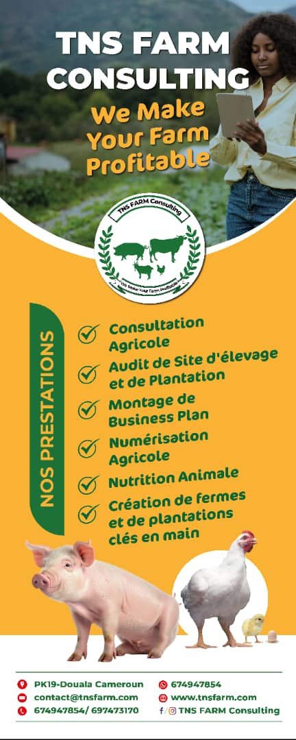 TNS FARM CONSULTING