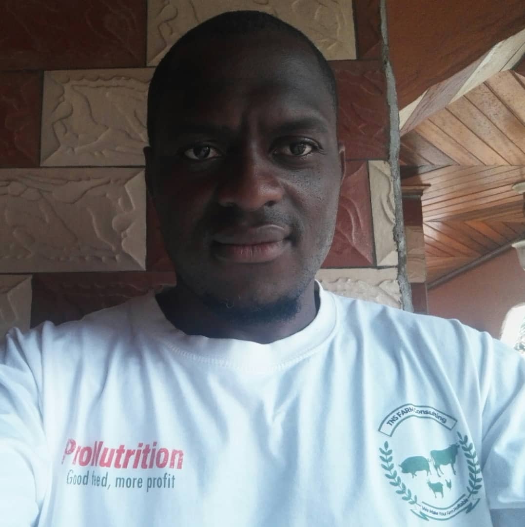 NGOUOZEU MOYO WILLY Marvel